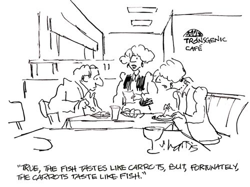 'True, the fish tastes like carrots, but, fortunately, the carrots taste like fish.'