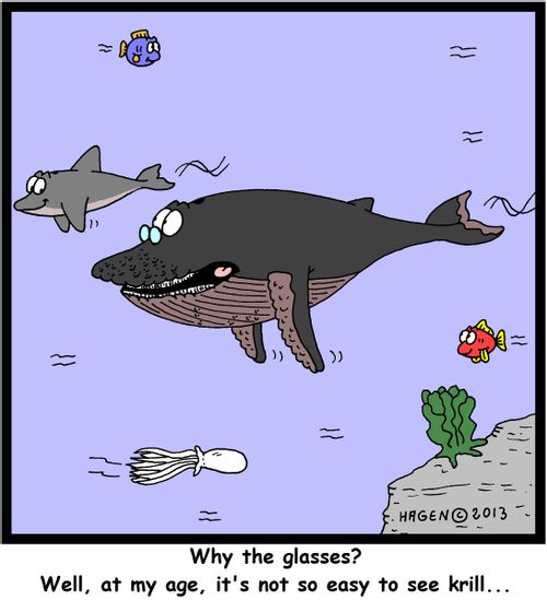 'Why the glasses? Well, at my age, it's not so easy to see krill...'