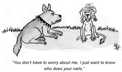 'You don't have to worry about me, I just want to know who does your nails.'