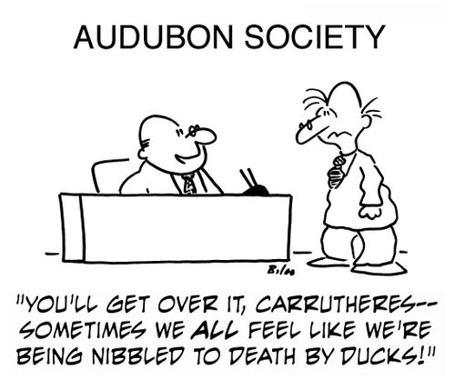 'You'll get over it, Carrutheres - sometimes we all feel like we're being nibbled to death by ducks!'