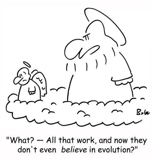 'What? -- All that work, and they don't even believe in evolution?'