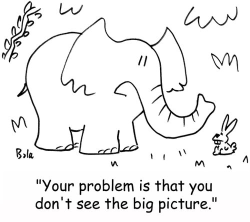 'Your problem is that you don't see the big picture.'