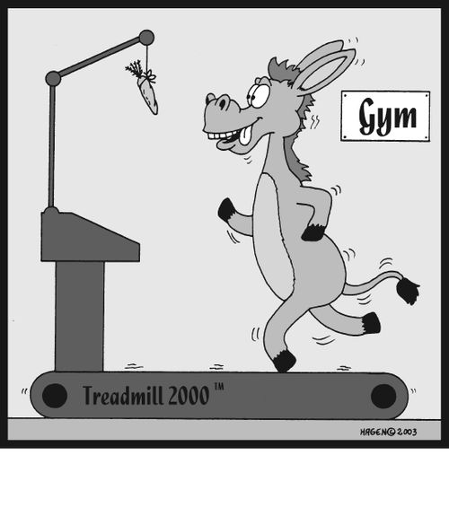 Donkey on a treadmill
