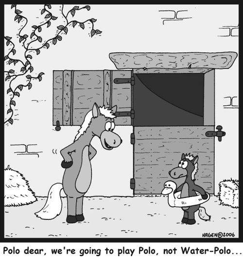 'Polo dear, we're going to play Polo, not Water-Polo...'