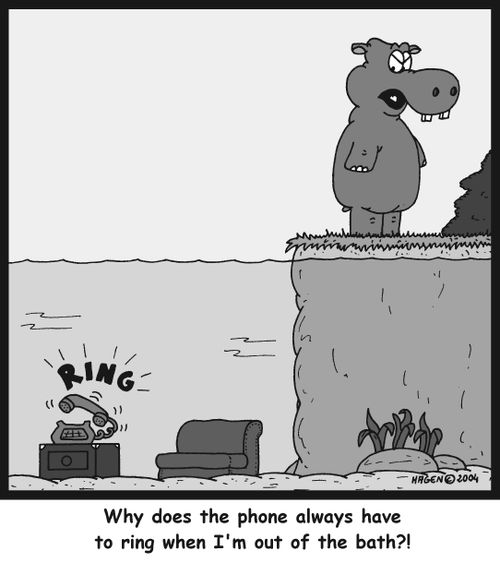 'Why does the phone always have to ring when I'm out of the bath?!'