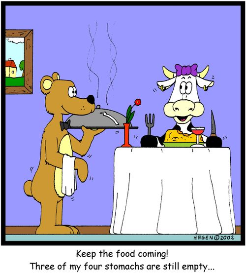 'Keep the food coming! Three of my four stomachs are still empty...'