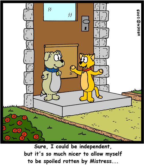 'Sure, I could be independent, but it's so much nicer to allow myself to be spoiled rotten by Mistress...'