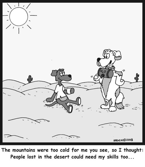 'The mountains were too cold for me you see, so I thought: People lost in the desert could need my skills too...'