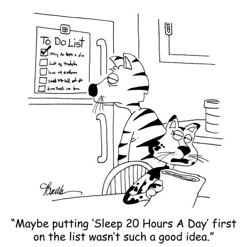 'Maybe putting 'Sleep 20 Hours A Day' first on the list wasn't such a good idea.'