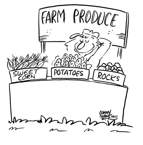 Farm Produce - Sweet Corn Potatoes Rocks