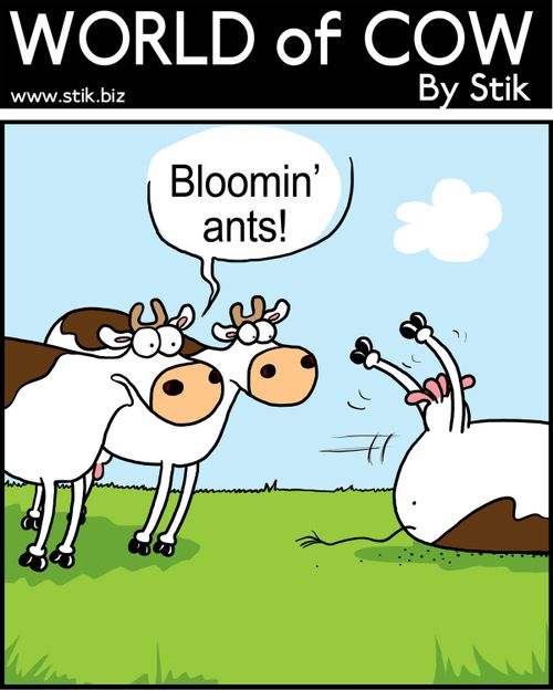 Bloomin' ants!