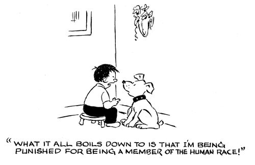 'What it all boils down to is that I'm being punished for being a member of the human race!'