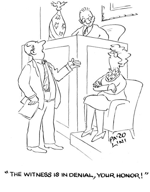 'The witness is in denial, your Honour!'