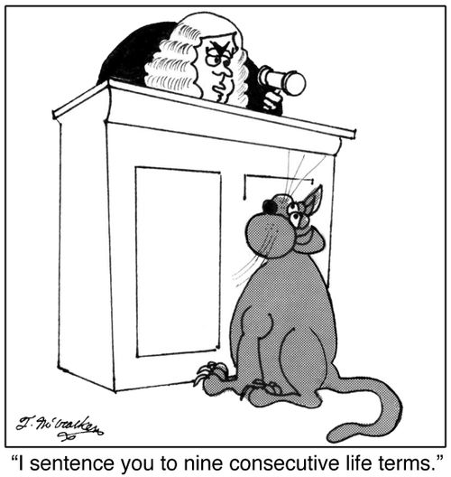 'I sentence you to nine consecutive life terms.'