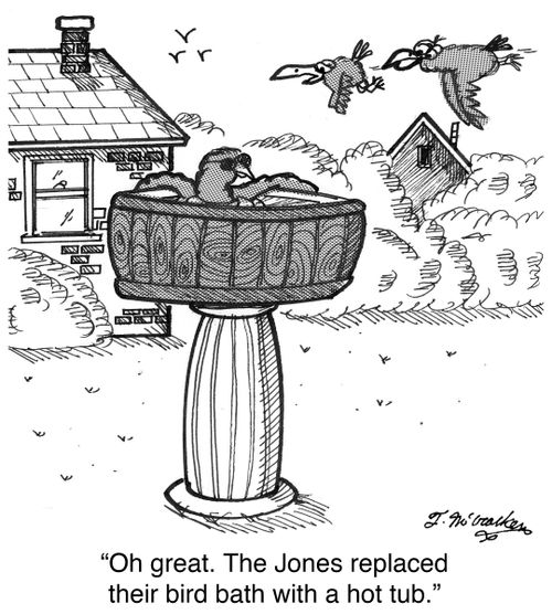'Oh great. The Jones replaced their bird bath with a hot tub.'