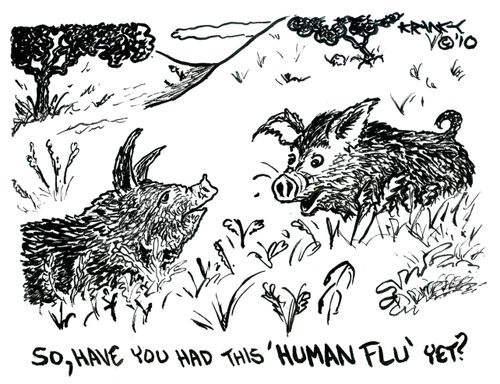 So, have you had this 'human flu' yet?
