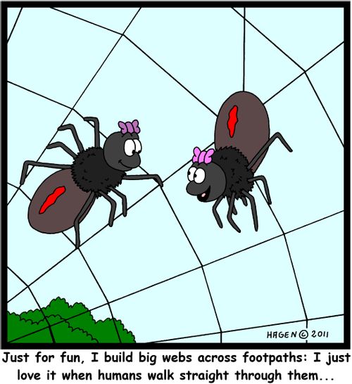 'Just for fun, I build big webs across footpaths: I just love it when humans walk straight through them...'