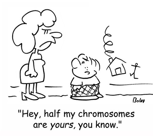 'Hey, half my chromosomes are YOURS, you know.'