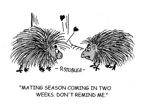 'Mating season coming in two weeks. Don't remind me.'