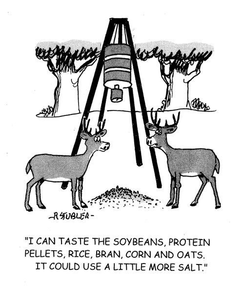 'I can taste the soybeans, protein pellets, rice, bran, corn and oats. It could use a little more salt.'