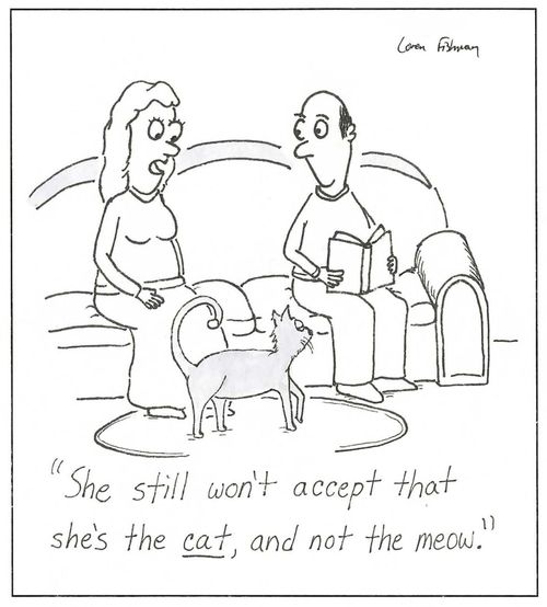 'She still won't accept that she's the cat, and not the meow.'