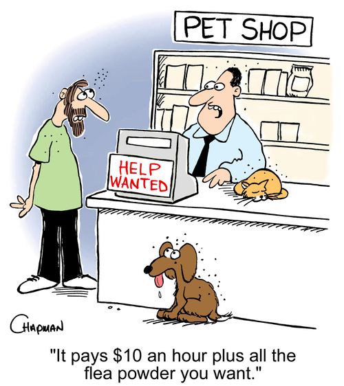 'It pays $10 an hour plus all the flea powder you want.'
