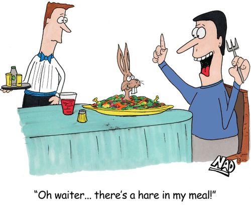A rabbit pokes his head out of a guys meal - 'Oh waiter... there's a hare in my meal!'