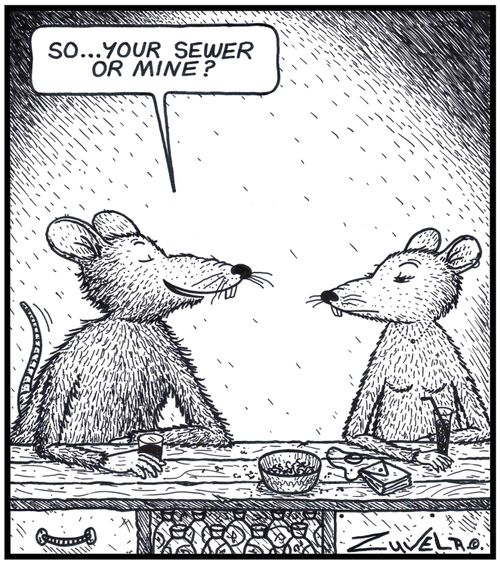 Rat: 'So...your Sewer or mine?' 