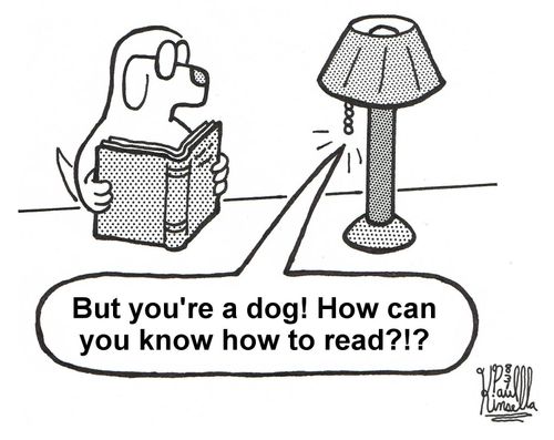 'But you're a dog! How can you know how to read?!?'