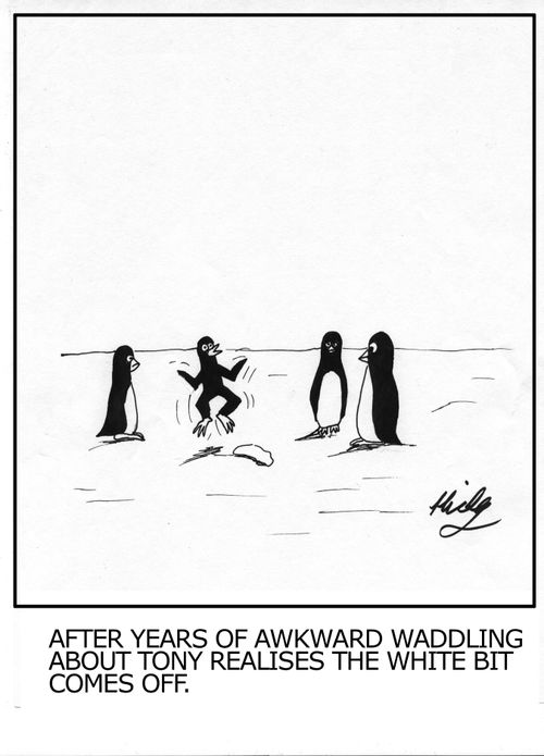 'After years of awkward waddling about Tony realises the white bit comes off.'