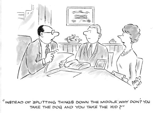 'Instead of splitting things down the middle, why don't you take the dog and you take the kid?'
