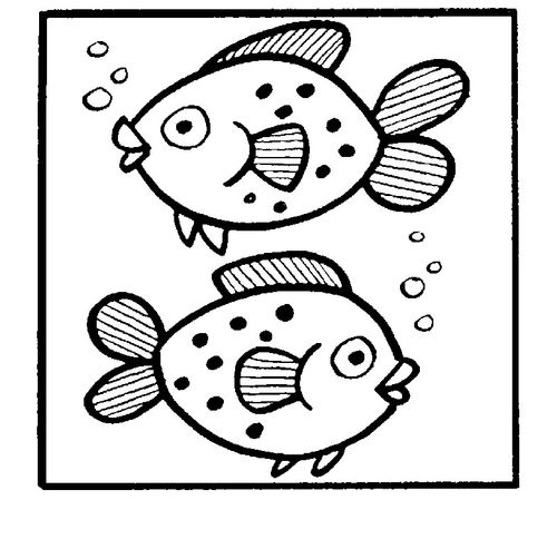 Pisces/fish