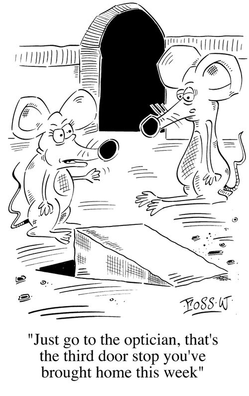 Mouse brings home a door wedge, wife tells him to visit an optician