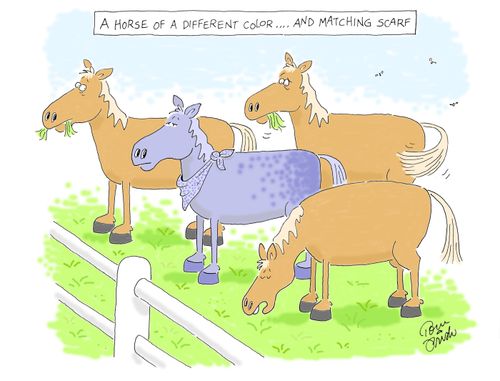 A horse of a different color, and matching scarf.