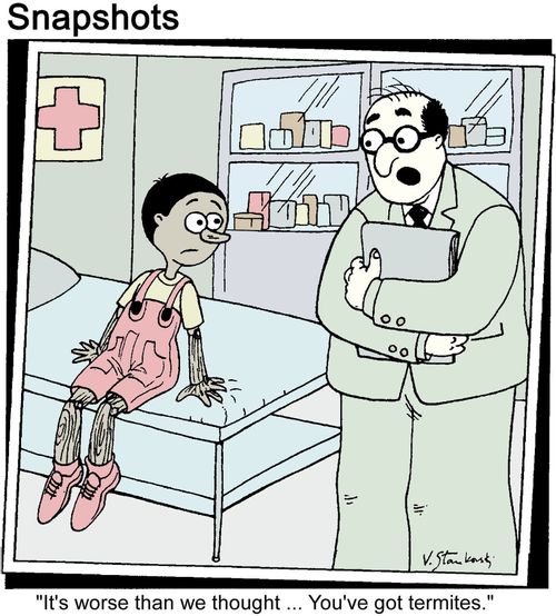 Doctor to Pinocchio: 'It's worse than we thought. You've got termites.'