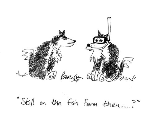 'Still on the fish farms then...?'
