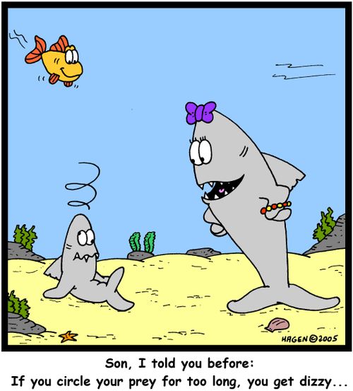 'Son, I told you before: If you circle your prey for too long, you get dizzy...'