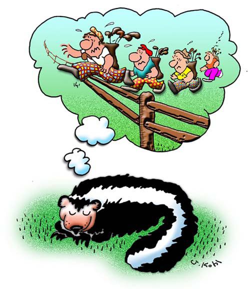 Skunk dreaming.
