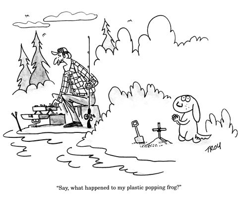 'Say, what happened to my plastic popping frog?'