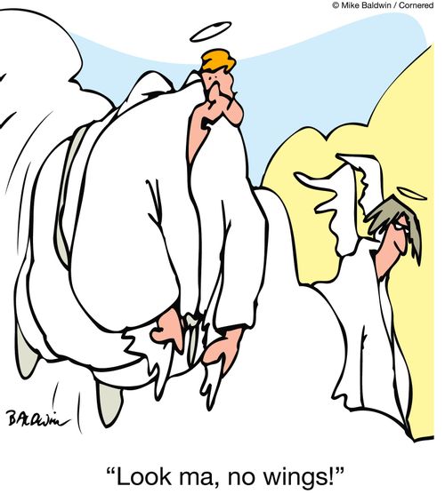 'Look man, no wings!'