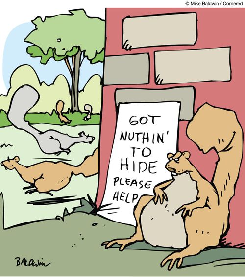 Got nuthin' to hide, please help.