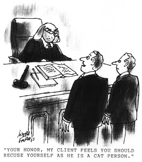 'Your honor, my client feels you should recuse yourself as he is a cat person.'