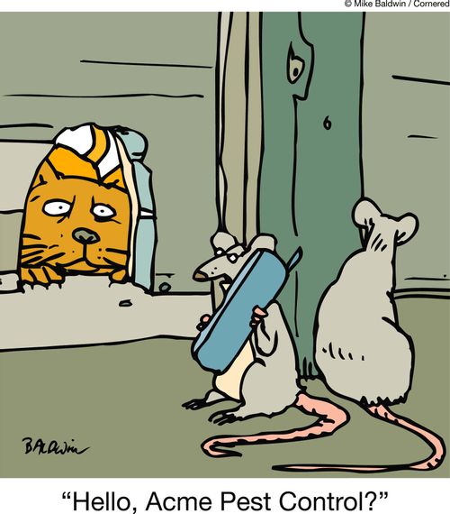"Hello, Acme Pest Control?"