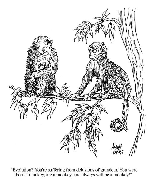 'Evolution? You're suffering from delusions of grandeur. You were a born a monkey, are a monkey, and always will be a monkey.'