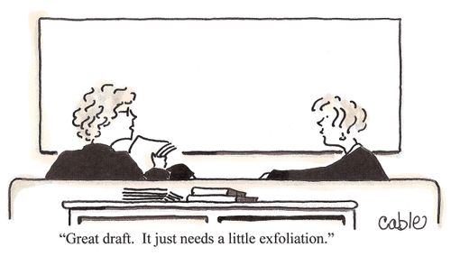 'Great draft.  It just needs a little exfoliation.'