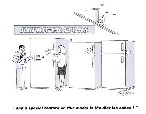 'And a special feature on this model is the diet ice cubes.'