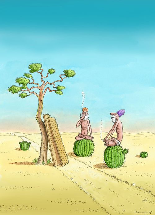 Meditating on Cacti