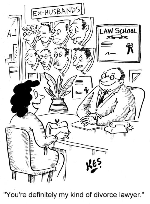 'You're definitely my kind of divorce lawyer.'
