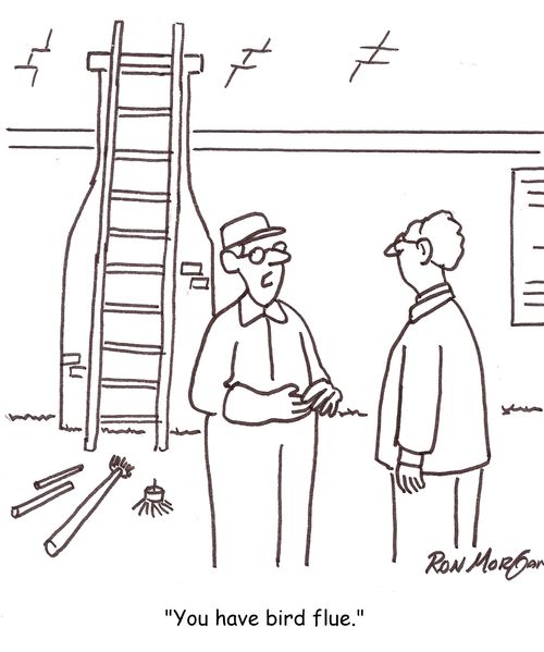 'You have bird flue.'