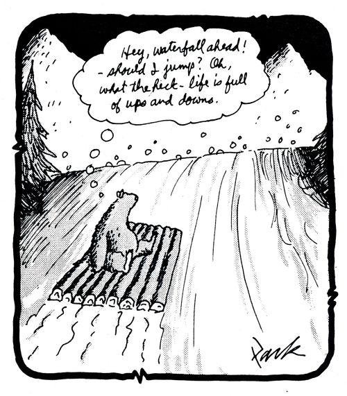 Hey, waterfall ahead! Should I jump? Oh, what the heck - life is full of ups and downs.